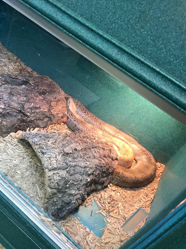 SCALES ‘N TAILS COLORADO SPRINGS Updated September 2024 5829