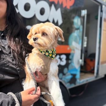 Dog Camp Groom - Pet Groomers Near Me Dog Camp Groom - Pet Groomers Near Me