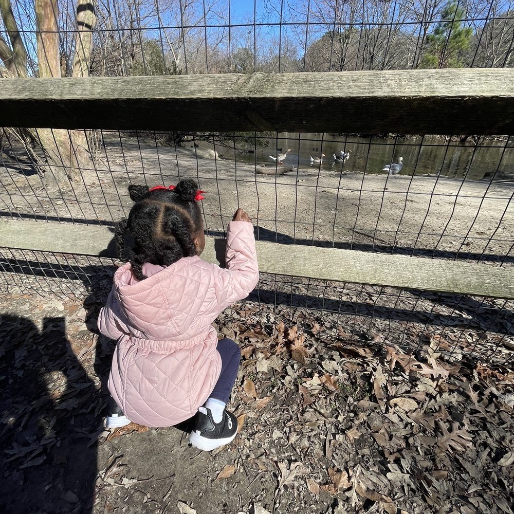 Bluebird Gap Farm - Looking at the ducks - Parks Near Me - Hampton, Virginia Bluebird Gap Farm - Looking at the ducks - Parks Near Me - Hampton, Virginia