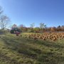 Chipman Farm Raymond Stand