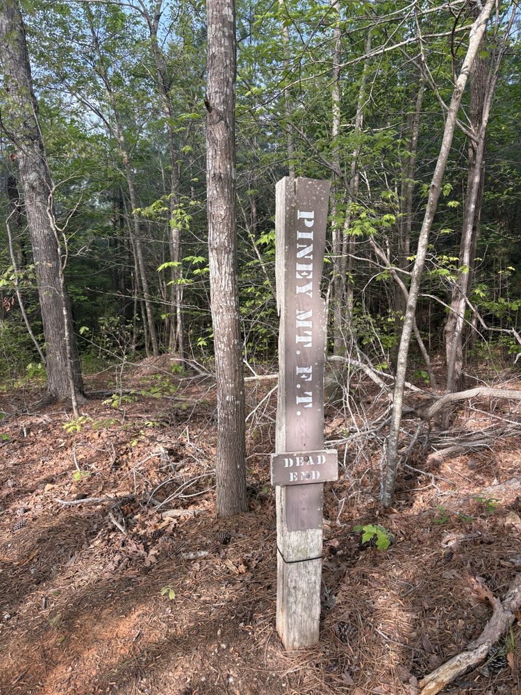 Social spots from Duke Forest, Korstian Division