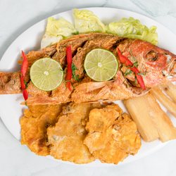 Sabor Peruano - Elizabeth - Pargo Rojo