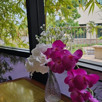 Orchid Thai Cuisine - Beautiful orchids on the table - Thai Near Me - Lincoln, California Orchid Thai Cuisine - Beautiful orchids on the table - Thai Near Me - Lincoln, California