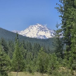 Mt. Shasta Vista Point