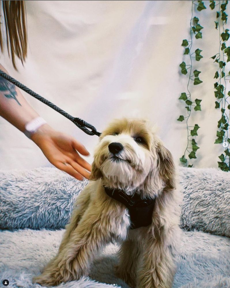 SEAL BEACH LAUNDERPET Updated September 2024 89 Photos & 117