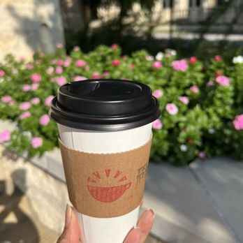 The Perk - Outside of The Perk flowerbed.  Rose white mocha - Coffee & Tea Near Me - Fort Worth, Texas