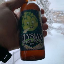 Elysian Space Dust IPA
