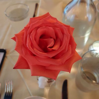 CiBi Italian Restaurant by null