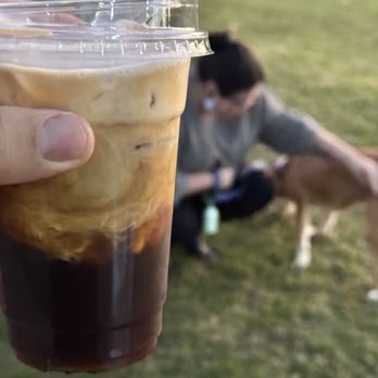 Domb Coffee - Coffee & Tea Near Me - Nashville, Tennessee Domb Coffee - Coffee & Tea Near Me - Nashville, Tennessee