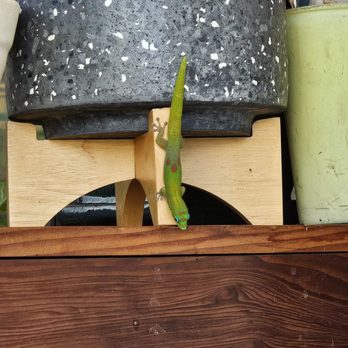 Try Coffee - Coffee & Tea Near Me - Honolulu, Hawaii