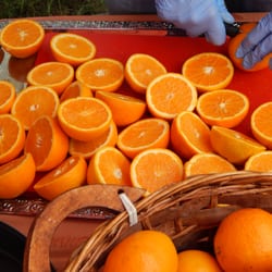Akazienapotheke - Orangen, halbiert