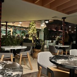 Neo - Inside Refuge Bar--decorated for the holidays