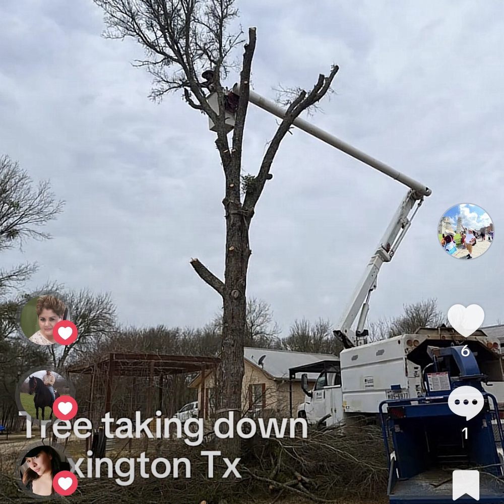 Goodson-Voight Lumber & Hardware - Tree service - Building Supplies Near Me - Giddings, Texas Goodson-Voight Lumber & Hardware - Tree service - Building Supplies Near Me - Giddings, Texas
