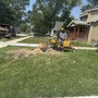 Photo of Adam's Tree Service