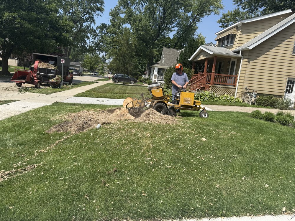 Adam's Tree Service - tree service in Ann Arbor, MI