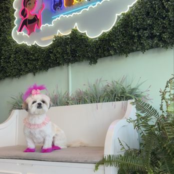 Isela's Pet Grooming - Pet Groomers Near Me - Whittier, California Isela's Pet Grooming - Pet Groomers Near Me - Whittier, California