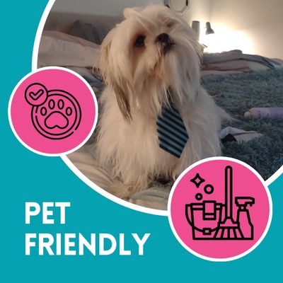 Pet Friendly Service - We can help with that one off deep clean if you're hosting an event, need your home to look extra perfect or your kids are messing up the place as they prepare for family and friends. Whatever the occasion, we'll take care of that special deep cleaning you need so you can focus on the important parts of life. Pet Friendly Service - We can help with that one off deep clean if you're hosting an event, need your home to look extra perfect or your kids are messing up the place as they prepare for family and friends. Whatever the occasion, we'll take care of that special deep cleaning you need so you can focus on the important parts of life.