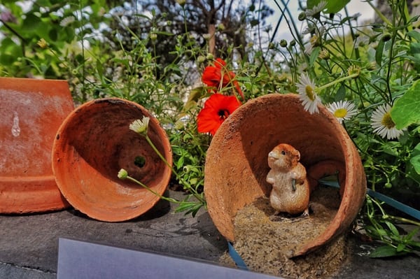 The World of Beatrix Potter Attraction by null