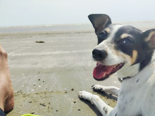 Sea Rim State Park by null