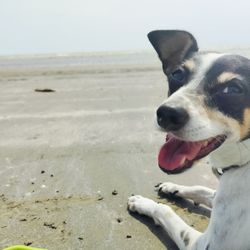 Sea Rim State Park