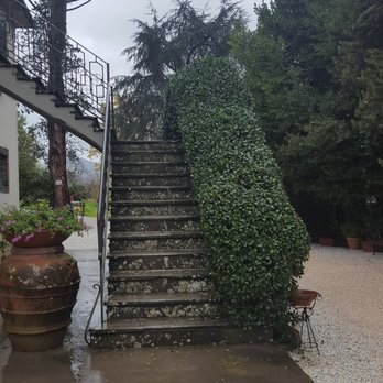 Fattoria Il Poggio - Wineries Near Me - Montecarlo, LU