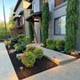 Martinez Lawn & Landscaping