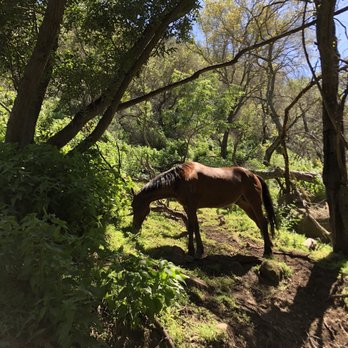 Circle Bar B Stables - Horseback Riding Near Me - Santa Barbara, California