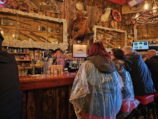 Red Dog Saloon by null