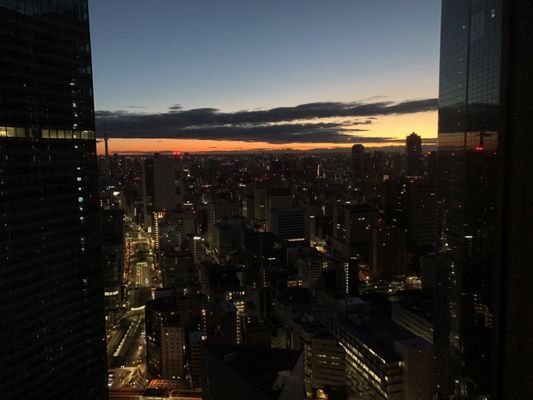 The Royal Park Hotel Tokyo Shiodome by null