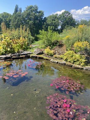 The Botanical Garden by null