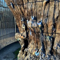 Diana Memorial Playground