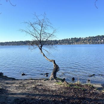 Saint Edward State Park - Parks Near Me - Kenmore, Washington