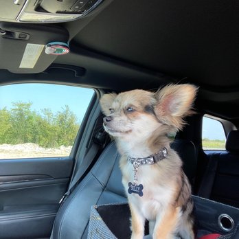 Crystal Sky Puppies - Pet Services Near Me