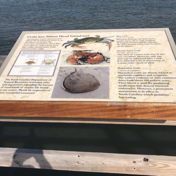 Harbour Town Pier - Learn about the crabs - Landmarks & Historical Buildings Near Me - Hilton Head Island, South Carolina