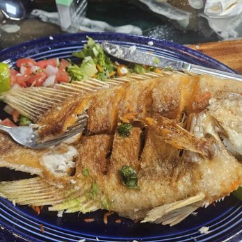 Frida’s Tacos & Tequila - Lightly fried whole fish - Mexican Near Me - Ocala, Florida Frida’s Tacos & Tequila - Lightly fried whole fish - Mexican Near Me - Ocala, Florida