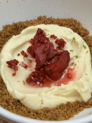 Black Cactus of Avalon by null