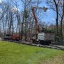 Photo of Mann's Tree Service