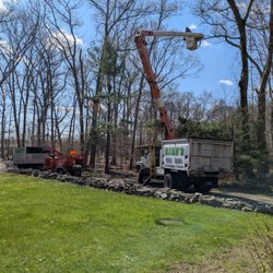 Mann's Tree Service - Dave Mann from Mann's Tree Service doing what he does best.  Great Job Guys!!  Thanks again