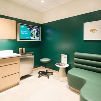 Juno Veterinary - Exam room at Juno Vet King West - Veterinarians Near Me - Toronto, Ontario Juno Veterinary - Exam room at Juno Vet King West - Veterinarians Near Me - Toronto, Ontario