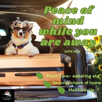 The Wheelbarrow Gardener - Imagine coming back from your vacation to find your plants flourishing, mail organized and your house safe and secure. - Gardeners Near Me The Wheelbarrow Gardener - Imagine coming back from your vacation to find your plants flourishing, mail organized and your house safe and secure. - Gardeners Near Me