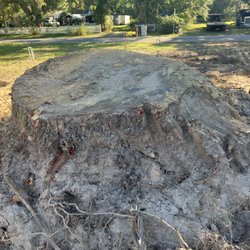 Playing In The Dirt - one 5 ton tree stump