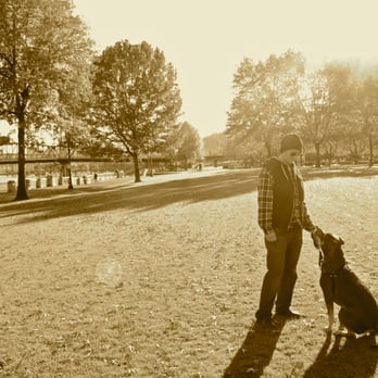 Pawsitive Steps PDX - Working on obedience training with Butters. - Dog Walkers Near Me Pawsitive Steps PDX - Working on obedience training with Butters. - Dog Walkers Near Me