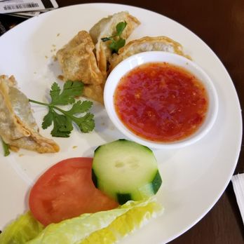World Grills - Dumplings veg - Asian Fusion Near Me - York, Pennsylvania