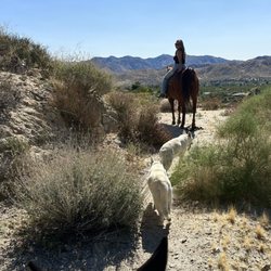 Crazy Horse Ranch