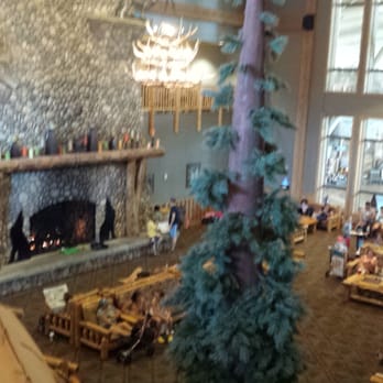 Great Wolf Lodge - The lobby with a very grand rock fireplace. - Resorts Near Me - Centralia, Washington Great Wolf Lodge - The lobby with a very grand rock fireplace. - Resorts Near Me - Centralia, Washington