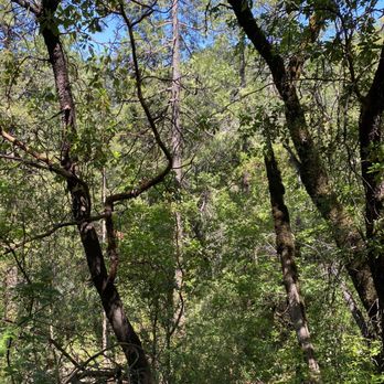 Independence Trail - Hiking Near Me