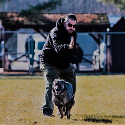 Pro Canine Center - Protection Dogs are on the rise!