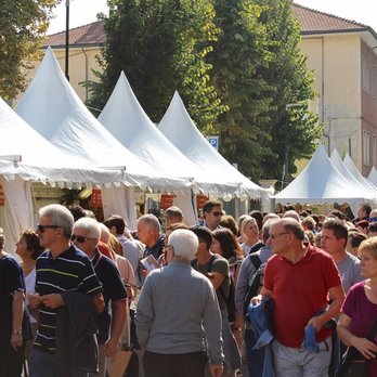 Cheese 2017 - Crowded & hot! - Trade Fairs Near Me - Bra, CN