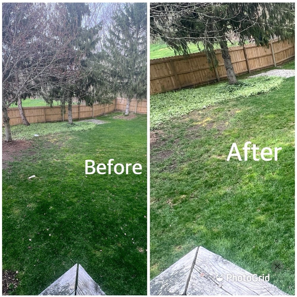A&E Lawn Care Services - Lawn Services Near Me