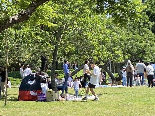 Daan Forest Park by null